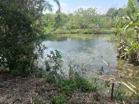 Imagem Sítio à venda, 5 quartos, 1 suíte, 5 vagas, BONANZA - Santa Luzia/MG