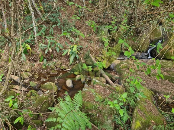 Imagem Lindo sítio à Venda em Piracaia