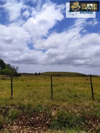 Imagem Chácara para Venda em Quinta Rio Grande-RS - 1381
