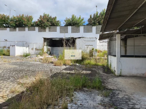 Imagem Galpão no Bairro de Indianópolis com 1058 m²