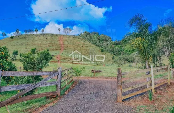Imagem Chácara - Nsa Sra Candeias - 12 kms do Trevo de Pato Branco