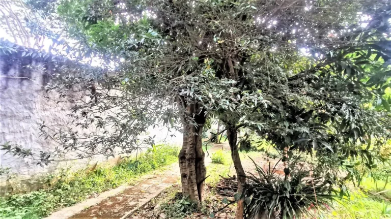 Imagem Terreno Plano à Venda em Itu SP, Bairro Aberto, Paraíso I