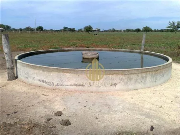 Imagem Fazenda em São Miguel do Araguaia à venda, - Centro - São Miguel do Araguaia/GO