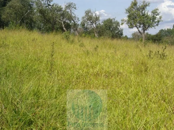 Imagem SÍTIO A VENDA 12,5 ALQUEIRES a R$ 88.000 o Alqueire, JACUÍ - SUL DE MINAS GERAIS, para gado, milho, soja.