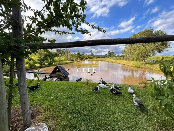 Imagem Chácara - Sítio com 2 Dormitorio(s) localizado(a) no bairro Zona Rural em Araricá / RIO GRANDE DO SUL Ref.:1498