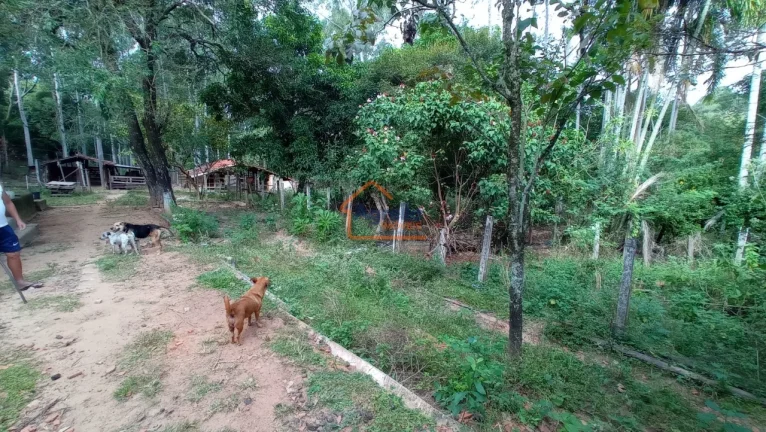 Imagem Sítio à venda no bairro Jardim Primavera - Mogi Mirim/SP