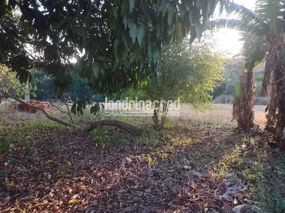 Imagem Vendo Terreno de 40.000m² Próximo a Ibiporã – Ótimo para Investimento, Loteamento, Agricultura ou Chácaras! Duas Escrituras! Agende uma Visita!