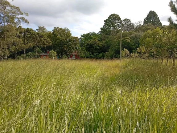 Imagem Sítio a venda com 9 Hectares, Passo da Areia, Viamão/RS