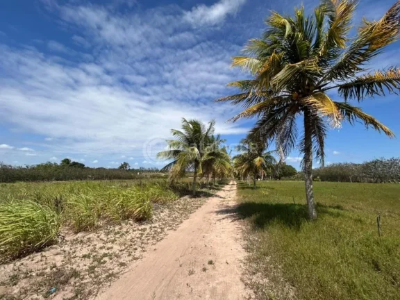 Imagem Chacara a venda completa e produtiva em Sao jose de mipibu