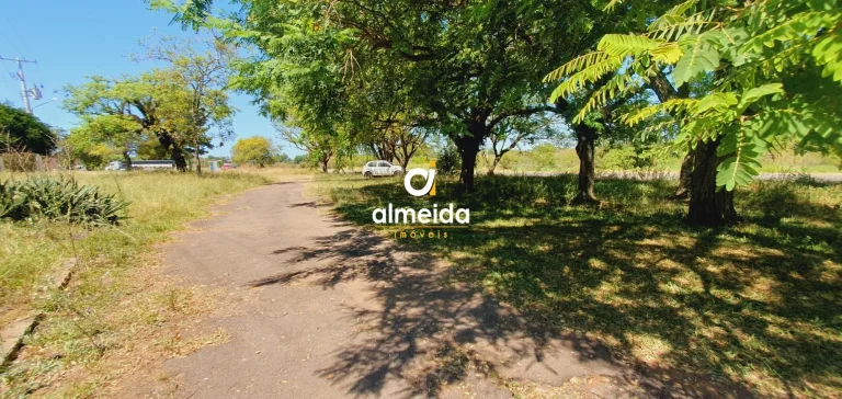 Imagem Terreno à venda Tomazetti Santa Maria/RS