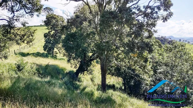 Imagem Paraíso Particular: 14,32 ha, com Vista Panorâmica e Natureza Preservada!