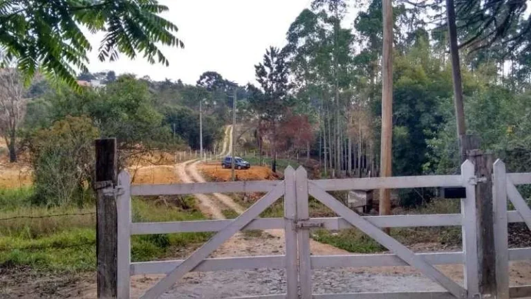Imagem Ótimo Lote