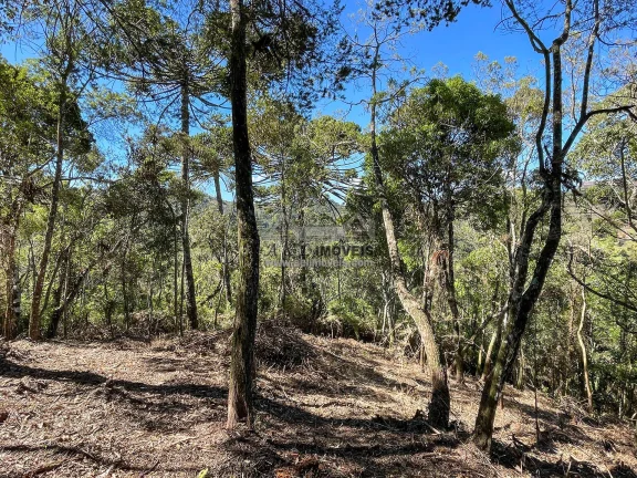 Imagem Terreno à venda em Campos do Jordão - Excelente opção para investimento