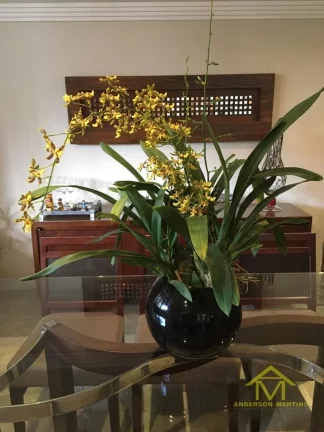 Imagem Casa à Venda, 280 m² em Centro De Vila Velha - Vila Velha