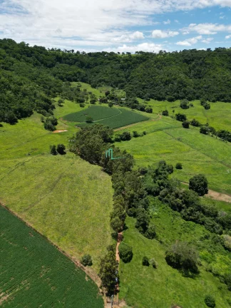 Imagem SÍTIO DE 24,99 ALQUEIRES (60,49 hectares) em RIFAINA/SP COM ESTRUTURA COMPLETA, 03 CASAS SIMPLES, E MUITA ÁGUA..