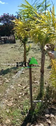 Imagem Chácara para Venda em Limeira, Bairro dos Pires