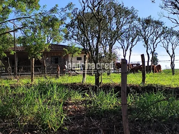 Imagem Chácara à venda 744000M², Zona Rural, Castro - PR