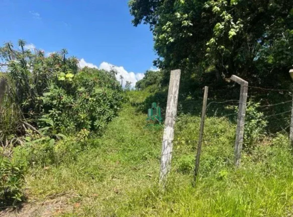 Imagem Terreno à venda, 12000 m² por R$ 12.720.000,00 - Parque Edu Chaves - São Paulo/SP