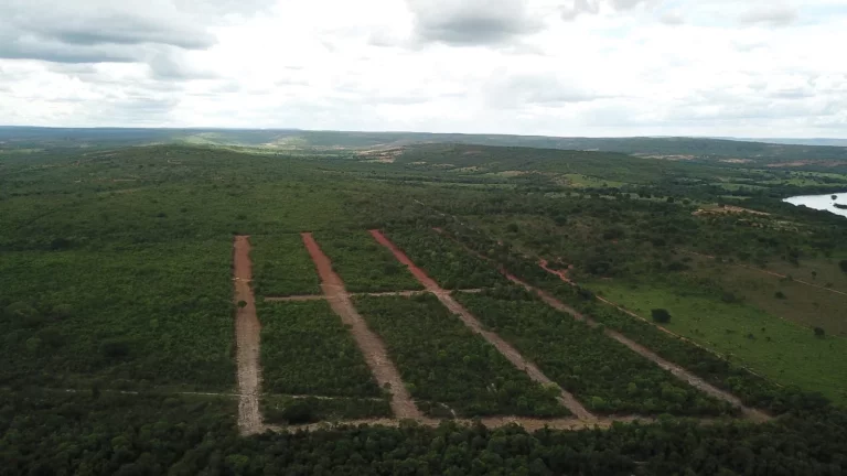 Imagem Chácara à venda em Três Marias-MG: 750,00 m² de área no bairro XXXXX