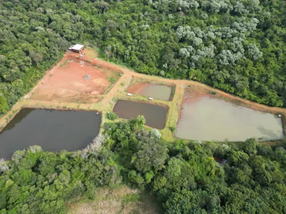 Imagem Chácara à venda em Cascavel, Centro - Casa de caseiro, Rio e Lago para pesca