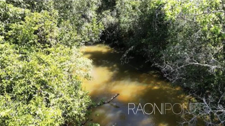Imagem Fazenda à Venda, 8.520.000 m² em Zona Rural