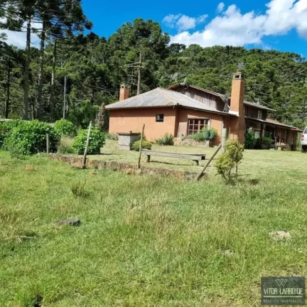 Fazenda de 34 hectares - São Joaquim/SC, Serra Catarinense