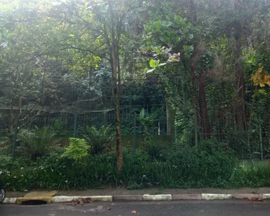 Imagem Apartamento Butantã