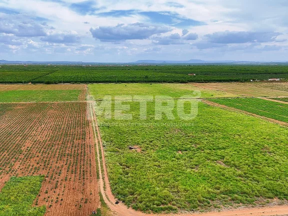 Imagem Fazenda com 116ha, Casa, Galpão, 25ha plantados e mais 32 prontos para plantar