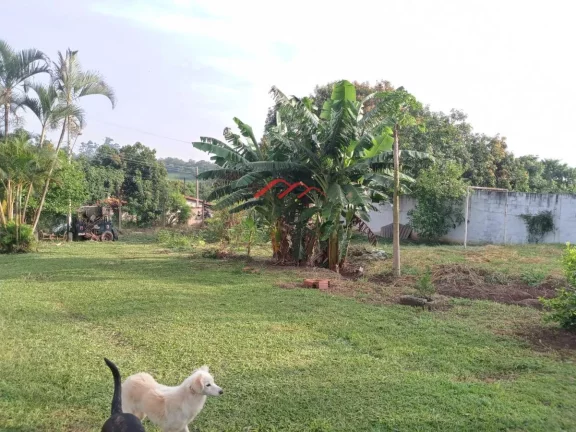 Imagem Sítio / Chácara para Venda em Sumar?(C) / SP no bairro Chácara Cruzeiro do Sul Imagem Sítio / Chácara para Venda em Sumar?(C) / SP no bairro Chácara Cruzeiro do Sul