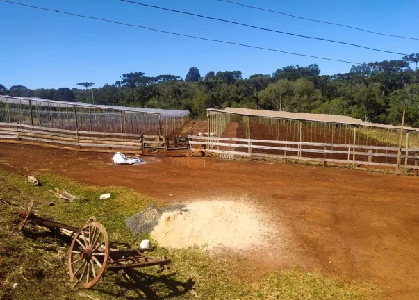 Imagem SITIO RURAL em PITANGA - PR, Rural