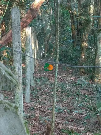 Imagem Terreno para Venda em São Roque, Jardim Dos Andes (mailasqui)