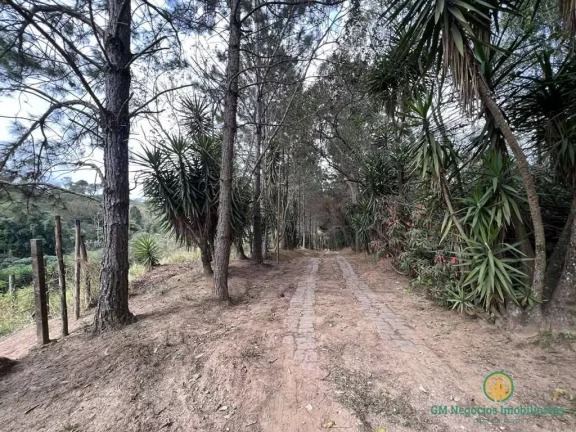 Imagem Área para Incorporação - 18.455m² Km 36 Rap. Tavares