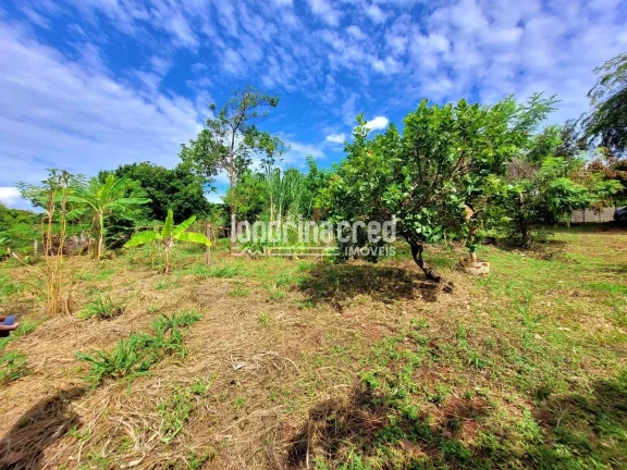 Imagem Chácara à venda 2 Quartos, 5600M², Dom Pedro I, Londrina - PR