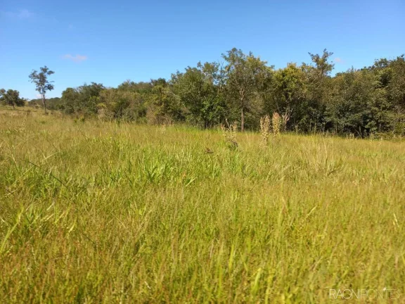 Imagem Fazenda à Venda, 10.000.000 m² em Zona Rural - Camapuã