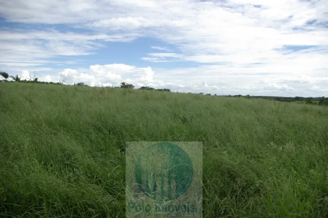 Imagem Fazenda em Cajuru 72 alqueires com soja, gado, braquiária e estrutura, 75 km de Ribeirão Preto - SP