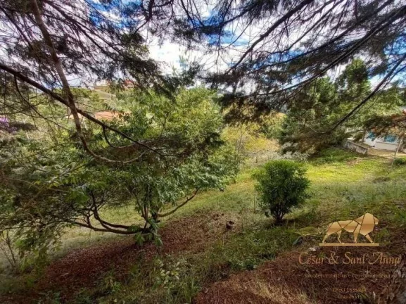 Imagem Belo Lote a venda