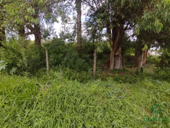Imagem Terreno para aluguel, Ponta Grossa, Porto Alegre/RS. - TE2520