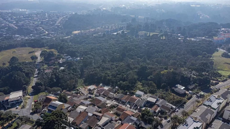 Imagem Terreno Santa Candida com 6161m²