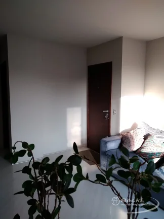 Imagem Apê no Centro - Joinville
