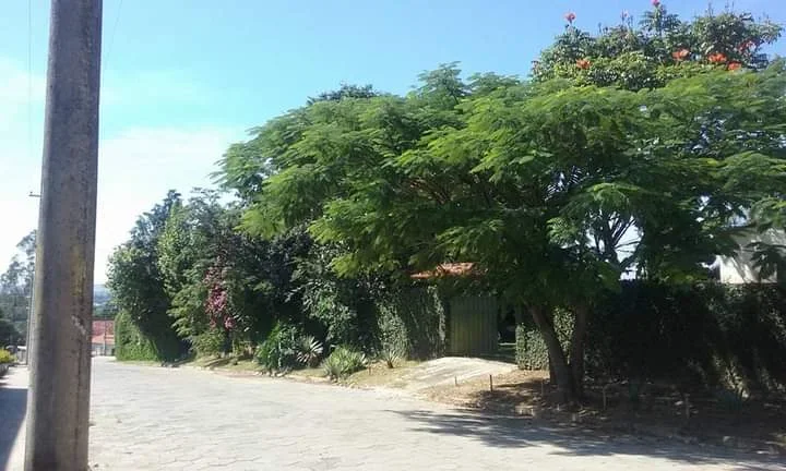 Imagem Chácara em Sarapuí - 5.000m²