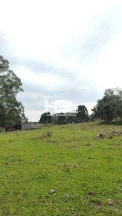 Imagem ÁREA A VENDA BOM JESUS DIVISA MONTE ALEGRE DOS CAMPOS RS