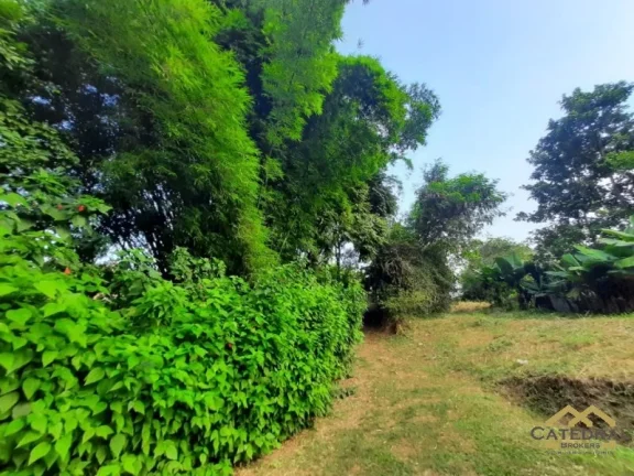 Imagem ÁREA À VENDA, 2384 M² POR R$ 1.800.000,00 - JARDIM SANTA GERTRUDES - JUNDIAÍ/SP