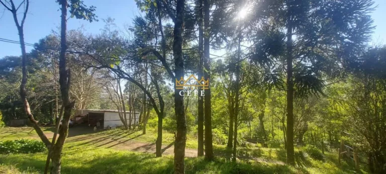 Imagem Chácara - Sítio com 4 Dormitorio(s) localizado(a) no bairro Carapina em São Francisco de Paula / RIO GRANDE DO SUL Ref.:1536