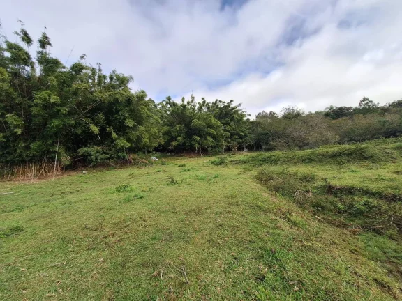 Imagem Sitio à venda, com 1.6 hectares, córrego natural, no Espigão, Viamão/RS