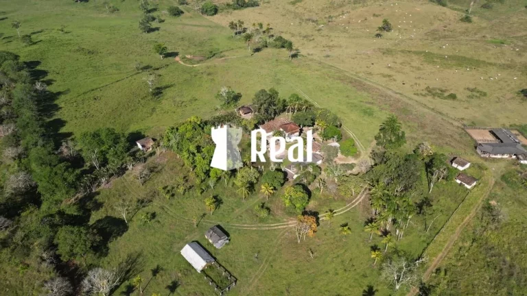 Imagem Fazenda Mata de São João - 70km de Salvador