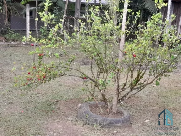 Imagem Chácara contendo tanque de peixes, 02 casas, internet, em condomínio - Morretes PR