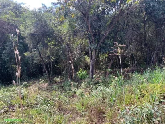 Imagem OPORTUNIDADE!!!
* EXCELENTE CHÃCARA 
*COM ÃREA DE 3.937 MÂ²
*POSSUI LUZ E MINA
*ÃTIMA LOCALIZAÃÃ...