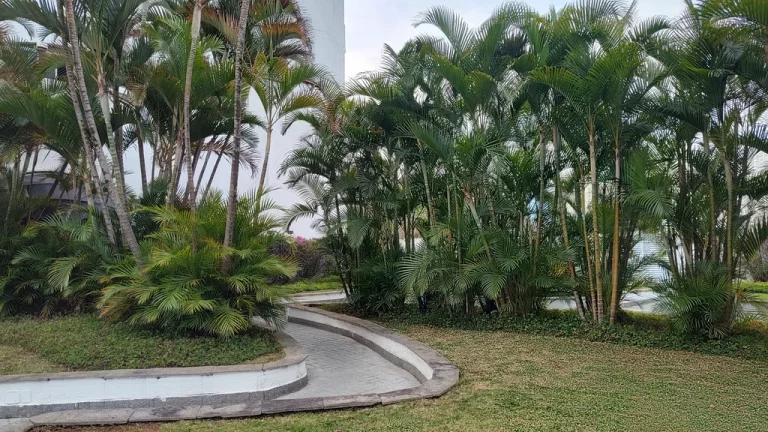 Imagem APARTAMENTO RESIDENCIAL em São Paulo - SP, Morumbi