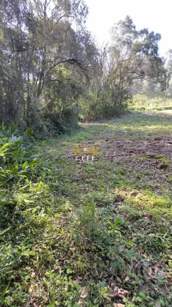Imagem Chácara - Sítio com 1 Dormitorio(s) localizado(a) no bairro Treze Colônias em Nova Petrópolis / RIO GRANDE DO SUL Ref.:1510