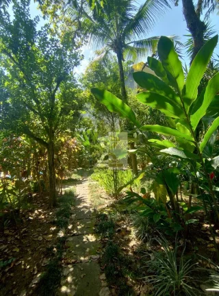 Imagem Exclusivo: Terreno amplo de 360m² em Jacarepaguá, próximo à Barra